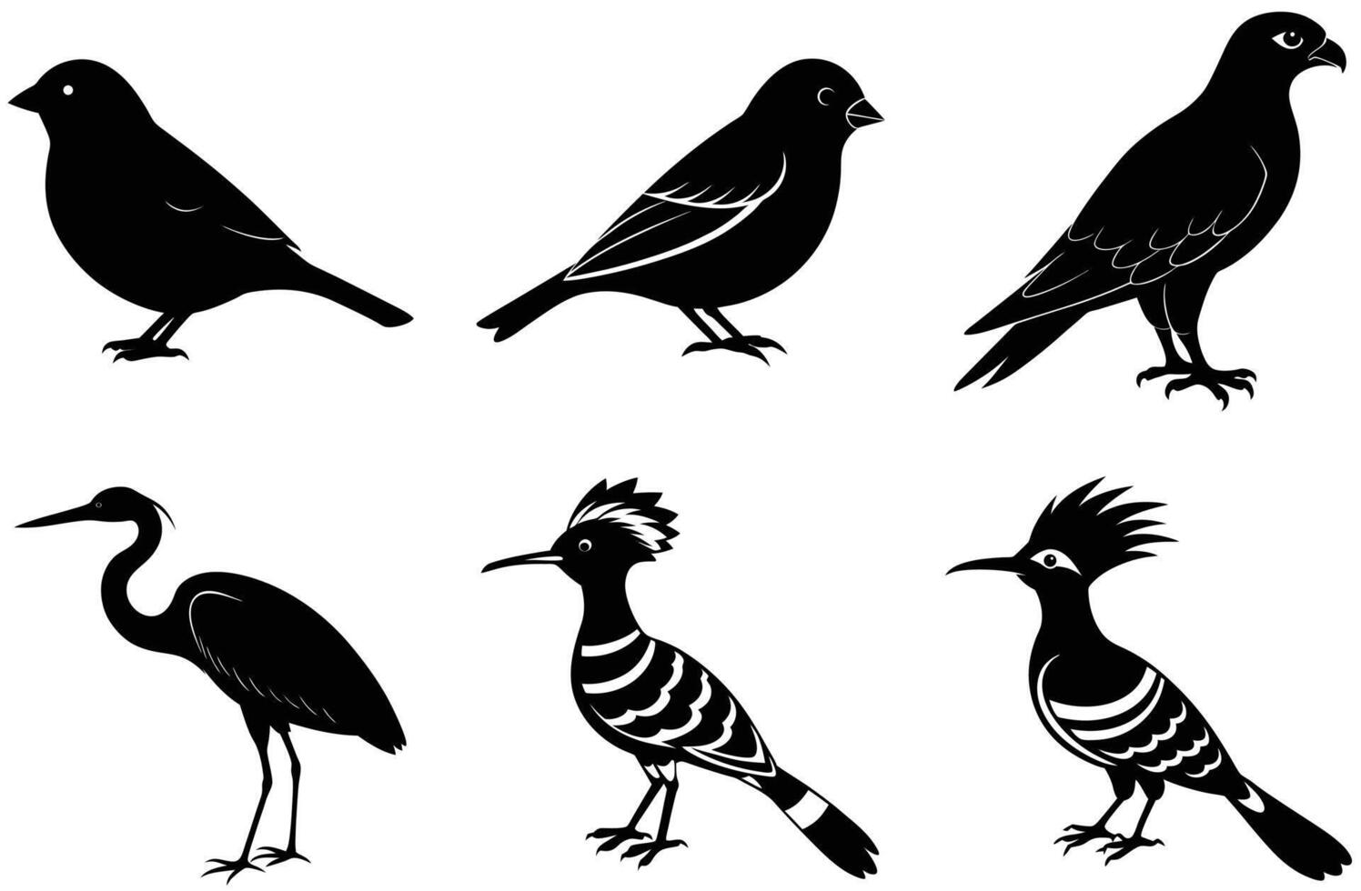 un colección de negro y blanco silueta ilustraciones de diferente pájaro especies. vector