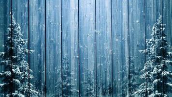 Wooden Winter Background And Spruce Trees video