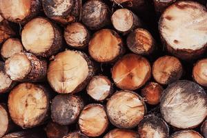 Texture of wood. Close up view of the front of many logs prepared for the winter. Nature background photo
