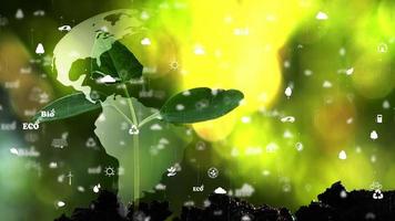 la terra con l'ologramma del segno di ecologia dell'ambiente su sfondo naturale. video