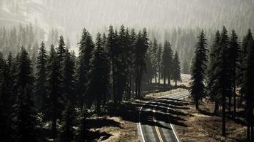 Natural Aerial view on the road and forest at the autumn time photo