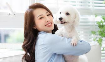 Young Asian woman playing with dog at home photo