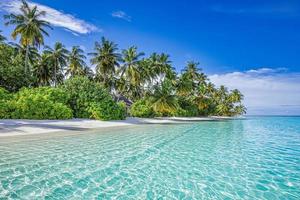 Summer travel background. Exotic tropical beach island, paradise coast. Palm trees white sand, amazing sky ocean lagoon. Fantastic beautiful nature background, sunny day idyllic inspirational vacation photo