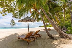 Tropical beach nature as summer landscape with lounge chairs and palm trees calm sea for beach relax banner. Luxury travel landscape, beautiful destination for vacation or holiday. Couple beach scenic photo