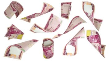 3d le rendu de 200 nigérien naira Remarques en volant dans différent angles et orientations png