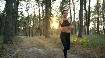 vicino su di donna con cuffie in esecuzione attraverso un autunno foresta a tramonto video