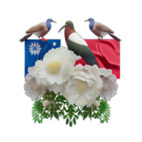 Taiwan Flagge Patriot Illustration, Taiwanese Flaggen Patriotismus, ai generiert png