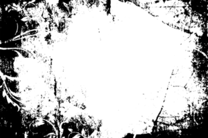 grunge frontière texture Contexte. abstrait Cadre recouvrir. png graphique illustration avec transparent Contexte.