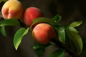 Peaches bunch fruit ripe. Generate Ai photo