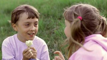 Due bambini mangiare ghiaccio crema nel il erba video