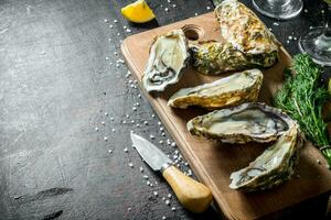 Raw oysters on a cutting Board with a bunch of dill and a knife. photo