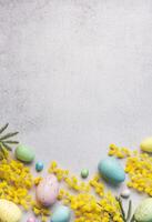 Pastel Easter Eggs and Yellow Mimosa Flowers on a Light Grey Background photo