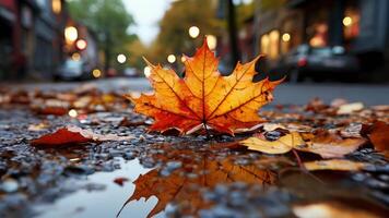 ai gegenereerd mooi geel gedaald herfst esdoorn- blad Aan de asfalt van de weg nat van regenen, herfst in de stad video