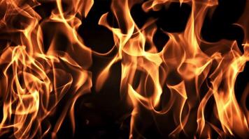 Tongues of bright flame. On a black background. Filmed is slow motion 1000 frames per second. High quality FullHD footage video