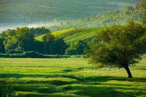 foto con paisaje y hermosa verde naturaleza en el república de moldavia, un pequeño simpático país en oriental Europa.