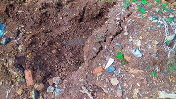 The ground surface is full of wild plants and rocks around it photo