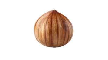 Noisette avec une transparent arrière-plan, isolé, marron coquille, Célibataire noix, studio tir, nourriture la photographie, Naturel ingrédient, en bonne santé collation, écrou coquille, comestible graine, fermer, macro la photographie png