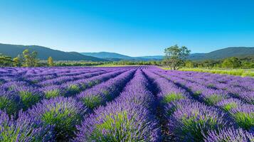 Stunning High-Resolution Nature and Landscape Backgrounds. Breathtaking Scenery in HD photo