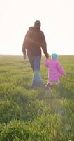 content grand-père et petite fille marcher dans le champ avec ensoleillement video