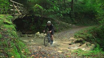 maschio ciclista attraversamento fiume nel montagne su ghiaia bicicletta. bicicletta turista bikepacker croci montagna fiume nel il foresta nel autunno. bicicletta avventura. ciclista attraversa montagna ruscello su ciclo. video