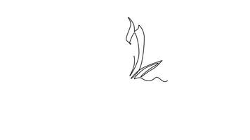 Animated self drawing of continuous line draw beautiful snake plant in pot for home decoration logo identity. Fresh evergreen perennial plant concept for plant icon. Full length single line animation video