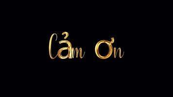 Thank you Vietnamese word golden text shine light effect video