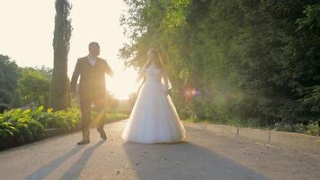 Wedding couple walking during golden hour in a scenic garden. A wedding couple walks together, illuminated by the golden hour sunlight. video