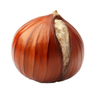 proche en haut de une entier Noisette avec fissuré coquille png