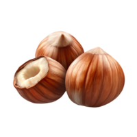 fissuré noisettes avec coquille png