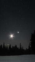 Time lapse of moving stars and moon in starry sky. Vertical video