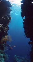 subacqueo scenario con corallo scogliera rocce e luce del sole nel blu oceano. verticale Visualizza video