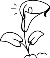 Calla lily flower icon in doodle style vector