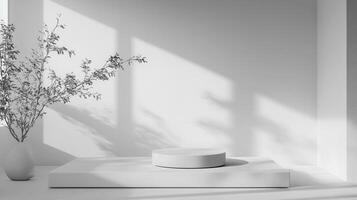 A white room with a vase and a plant photo