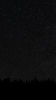 Time lapse of moving stars over a forest in the night sky. Starry night background. Epic , vertical footage video
