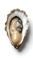 Closeup of an oyster showing its soft interior and unique texture details photo