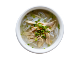 vietnamita tradicional sopa pho ga com frango. png