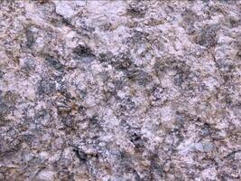 un' vicino su di un' granito superficie con alcuni bianca e Marrone macchie video