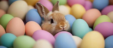 A bunny is hiding in a pile of colorful eggs photo
