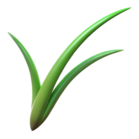 wunderbar künstlerisch Single Klinge von Gras hoch Qualität png