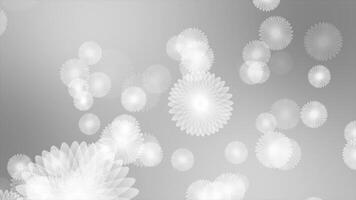 white and black rotating multiple flower shapes moving upwards modern design floral background video