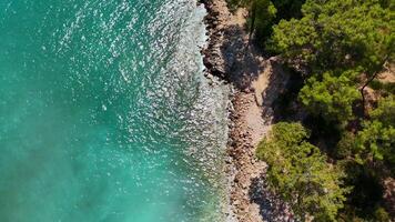 Aerial view of rocky coast with turquoise water and sunlit pine forest video
