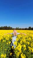 cinematográfico fpv zumbido Disparo de mujer salto a la comba con abierto brazos mediante floreciente amarillo colza campo en soleado primavera día. despreocupado campo estilos de vida escena Perfecto para libertad y alegría temas video