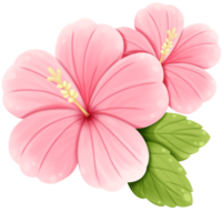 rosa blomma sommar png